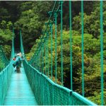 costa-rica-monteverde-hangingbridges-ttn